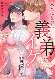 大人になった義弟にイケない関係を迫られています 3巻