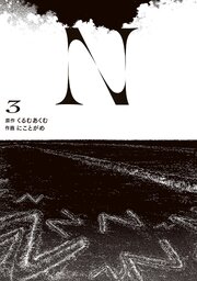 N 3
