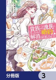 貴族から庶民になったので、婚約を解消されました！【分冊版】 3