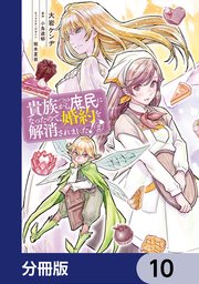 貴族から庶民になったので、婚約を解消されました！【分冊版】 10