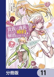 貴族から庶民になったので、婚約を解消されました！【分冊版】 11