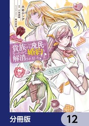貴族から庶民になったので、婚約を解消されました！【分冊版】 12