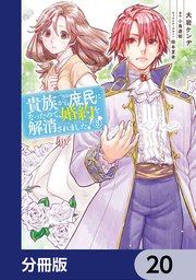 貴族から庶民になったので、婚約を解消されました！【分冊版】 20