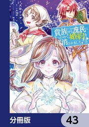 貴族から庶民になったので、婚約を解消されました！【分冊版】 43