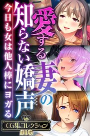 愛する妻の知らない嬌声 ～今日も女は他人棒にヨガる～【CG集コレクションBIG】