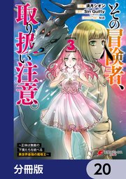 その冒険者、取り扱い注意。 ～正体は無敵の下僕たちを統べる異世界最強の魔導王～【分冊版】 20