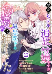 Berry’sFantasy悪女のレッテルを貼られた追放令嬢ですが、最恐陛下の溺愛に捕まりました12巻