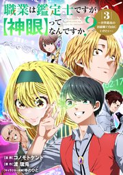 職業は鑑定士ですが【神眼】ってなんですか？～世界最高の初級職で自由にいきたい～ 3