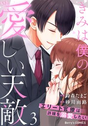 きみは僕の愛しい天敵～エリート官僚は許嫁を溺愛したい～3巻