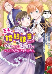 王子、婚約破棄したのはそちらなので、恐い顔でこっちにらまないでください。 分冊版