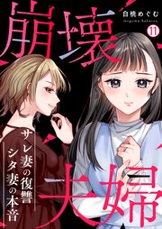 崩壊夫婦～サレ妻の復讐・シタ妻の本音 11巻