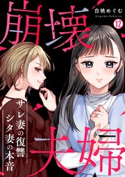 崩壊夫婦～サレ妻の復讐・シタ妻の本音 12巻