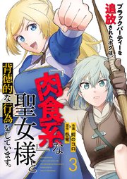 ブラックパーティーを追放されたボクは、『肉食系』な聖女様と背徳的な行為をしています。 3巻
