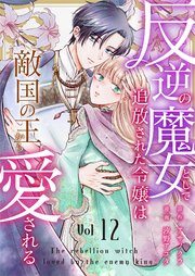 反逆の魔女として追放された令嬢は敵国の王から愛される 12巻
