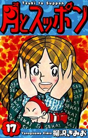 月とスッポン 愛蔵版 17