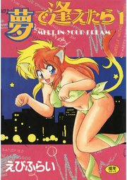 夢で逢えたら(1)