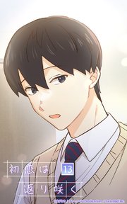 初恋は返り咲く【タテヨミ】 13話 運命が変わる日