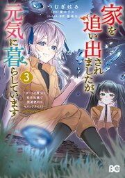 家を追い出されましたが、元気に暮らしています ～チートな魔法と前世知識で快適便利なセカンドライフ！～