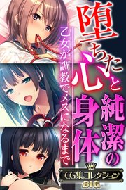 堕ちた心と純潔の身体～乙女が調教でメスになるまで～【CG集コレクションBIG】