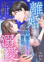 離婚したはずなのに、冷徹エリート御曹司に容赦なく溺愛されています 19巻
