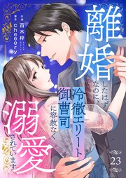 離婚したはずなのに、冷徹エリート御曹司に容赦なく溺愛されています 23巻