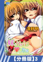 【分冊版】妹と付き合う11の方法（3）