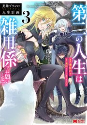英雄ブランの人生計画 第二の人生は雑用係でお願いします（コミック） 3巻