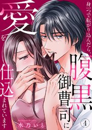 身一つで転がり込んだら、腹黒御曹司に愛を仕込まれています 4巻
