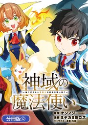 神域の魔法使い～神に愛された落第生は魔法学院へ通う～【分冊版】 12巻