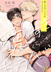 愛しすぎくらいがちょうどいい愛しすぎくらいがちょうどいい（１２）