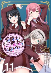 聖騎士ですが、高嶺の三聖女の誰かを酔った勢いで抱いてしまった件について WEBコミックガンマぷらす連載版