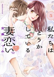 私たちはどうかしている 妻恋い 分冊版（5）