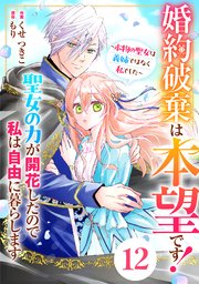 Berry’sFantasy婚約破棄は本望です！聖女の力が開花したので私は自由に暮らします～本物の聖女は義姉ではなく私でした～12巻