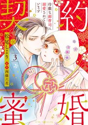 契約蜜婚～冷徹な御曹司に溺愛されています～【分冊版】