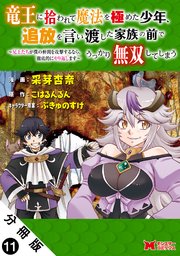 竜王に拾われて魔法を極めた少年、追放を言い渡した家族の前でうっかり無双してしまう～兄上たちが僕の仲間を攻撃するなら、徹底的にやり返します～（コミック） 分冊版 ： 11