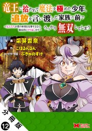 竜王に拾われて魔法を極めた少年、追放を言い渡した家族の前でうっかり無双してしまう～兄上たちが僕の仲間を攻撃するなら、徹底的にやり返します～（コミック） 分冊版 ： 12