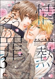情熱という名の罪（分冊版） 【第3話】