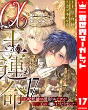 α王の運命～王妃候補の護衛のはずが王の番になりました～