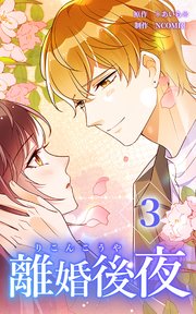 離婚後夜【単行本版】第3巻