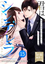 comic Berry’s君はシンデレラ～孤高な御曹司が絶え間なく愛を注ぐ理由～【財閥御曹司シリーズ】15巻