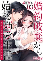 婚約破棄から始まる溺愛生活～理想の結婚相手って何ですか？～（3）