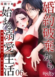 婚約破棄から始まる溺愛生活～理想の結婚相手って何ですか？～（6）