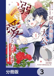 姉に悪評を立てられましたが、何故か隣国の大公に溺愛されています【分冊版】 3