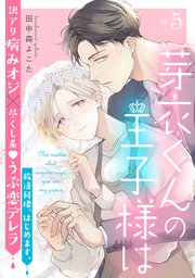芽衣くんの王子様は ep.5