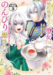 婚約破棄された聖女はのんびり働きたい～突然皆様に求婚されてもお断りです！～ 分冊版（3）