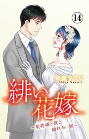 緋い花嫁～契約婚と彼と拗れた一族～