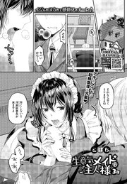 生意気メイドはご主人様