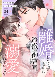 離婚したはずなのに、冷徹エリート御曹司に容赦なく溺愛されています【電子単行本版】 4巻