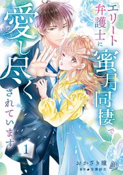 エリート弁護士に蜜月同棲で愛し尽くされています 1