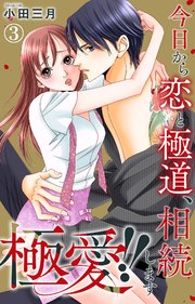 極愛!! 今日から恋と極道、相続します 3